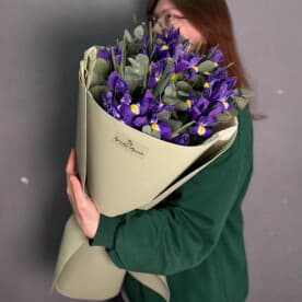 Миниатюра 1