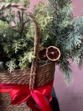 Миниатюра 3