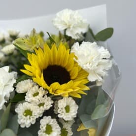 Миниатюра 7