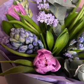 Миниатюра 4