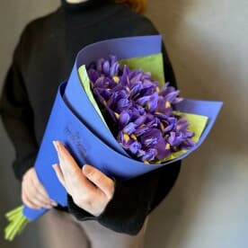 Миниатюра 4