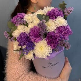 Миниатюра 1