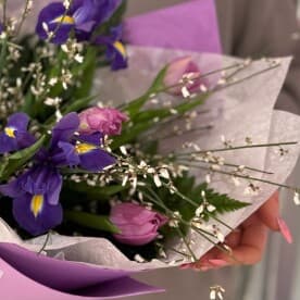 Миниатюра 2