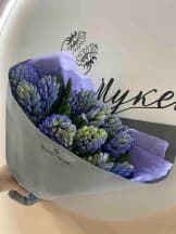 Миниатюра 1