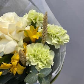 Миниатюра 5