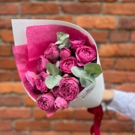 Миниатюра 4