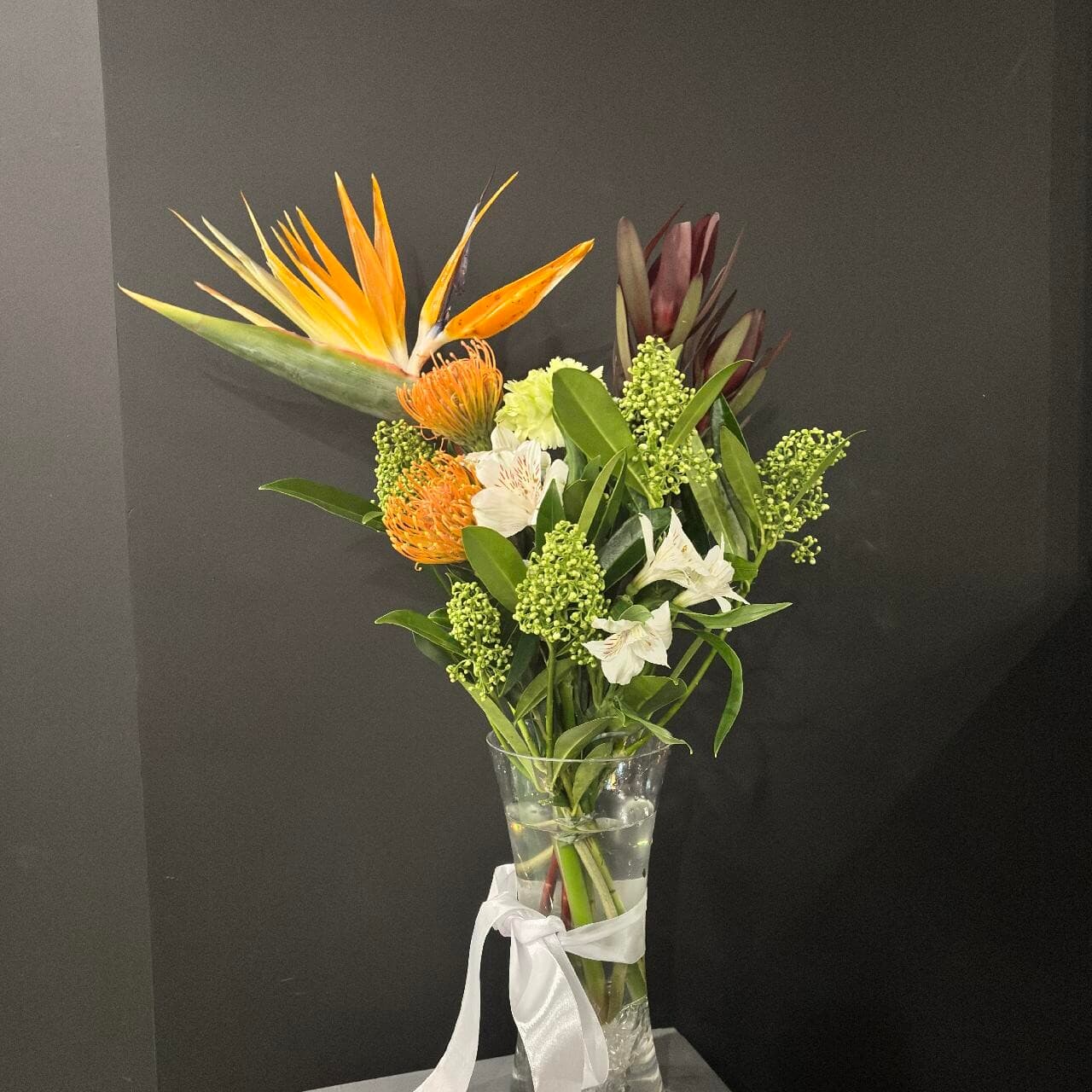 Дикое сафари ГРИВЦОВА