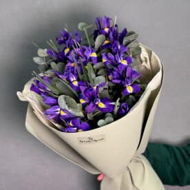 Миниатюра 4