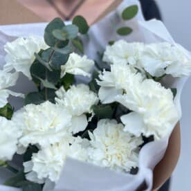 Миниатюра 5