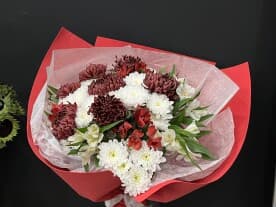 Миниатюра 1