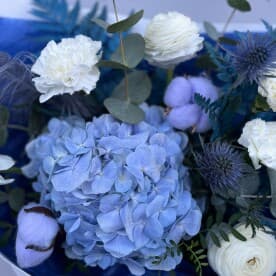 Миниатюра 5