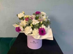 Миниатюра 1