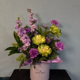 Миниатюра 1