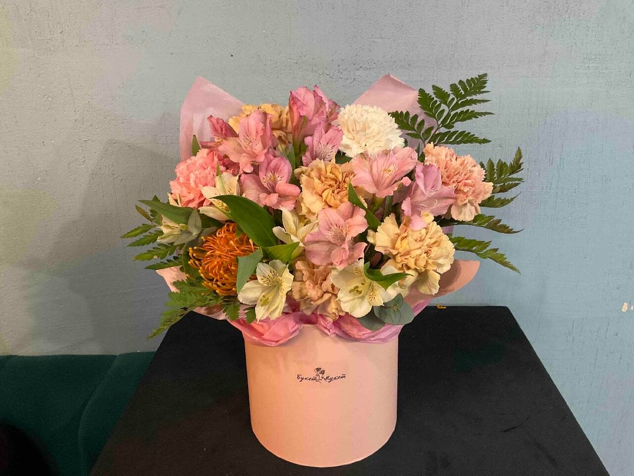 Детектив нутан  SENO