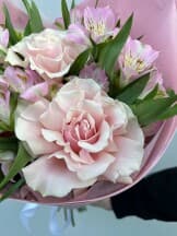 Миниатюра 5