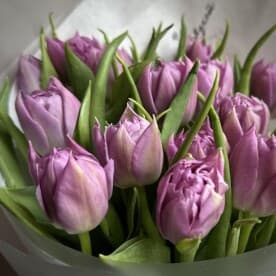 Миниатюра 5