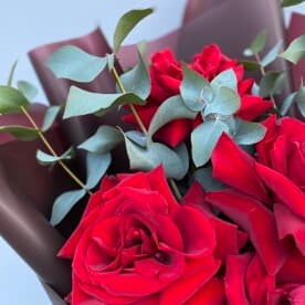 Миниатюра 4