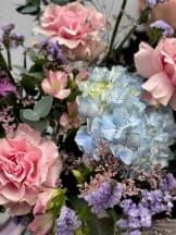 Миниатюра 5