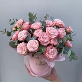 Миниатюра 4