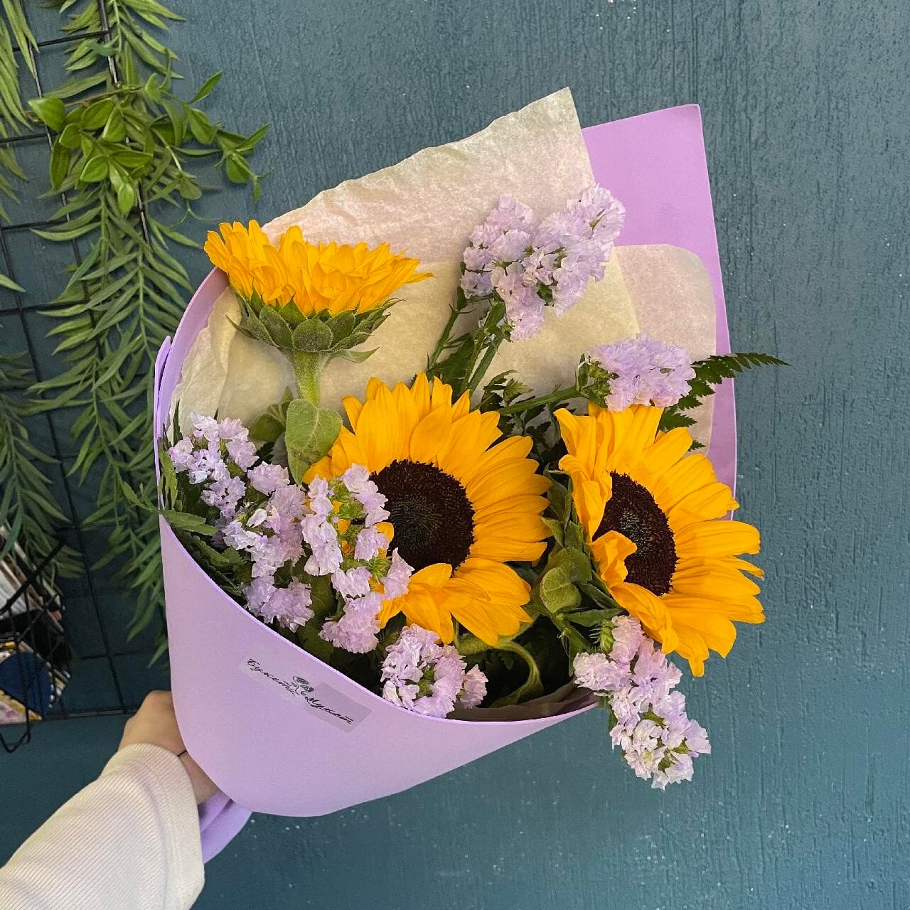 Подсолнухи SENO