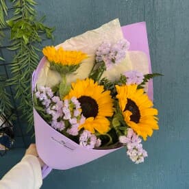 Миниатюра 1