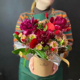 Миниатюра 1