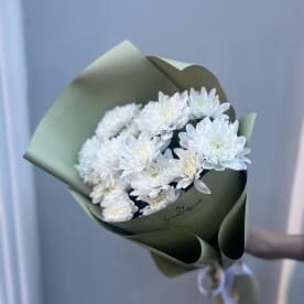 Миниатюра 6