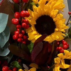 Миниатюра 3