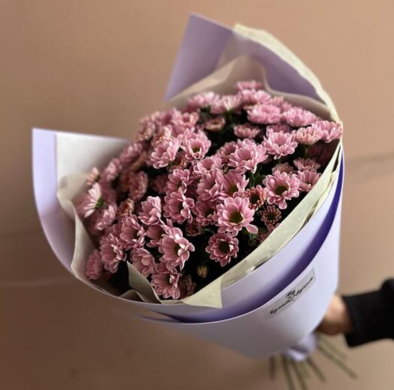 «Миссис Сантини» ПИК, изображение 4