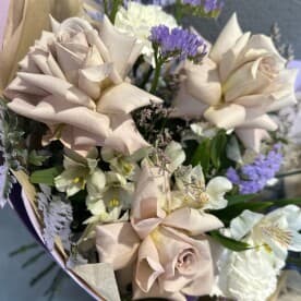 Миниатюра 3