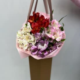 Миниатюра 3