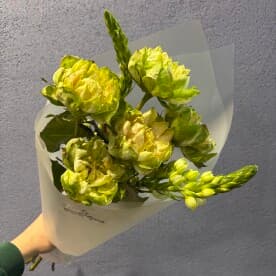 Миниатюра 1