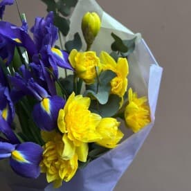 Миниатюра 3