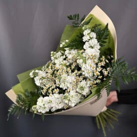 Миниатюра 4