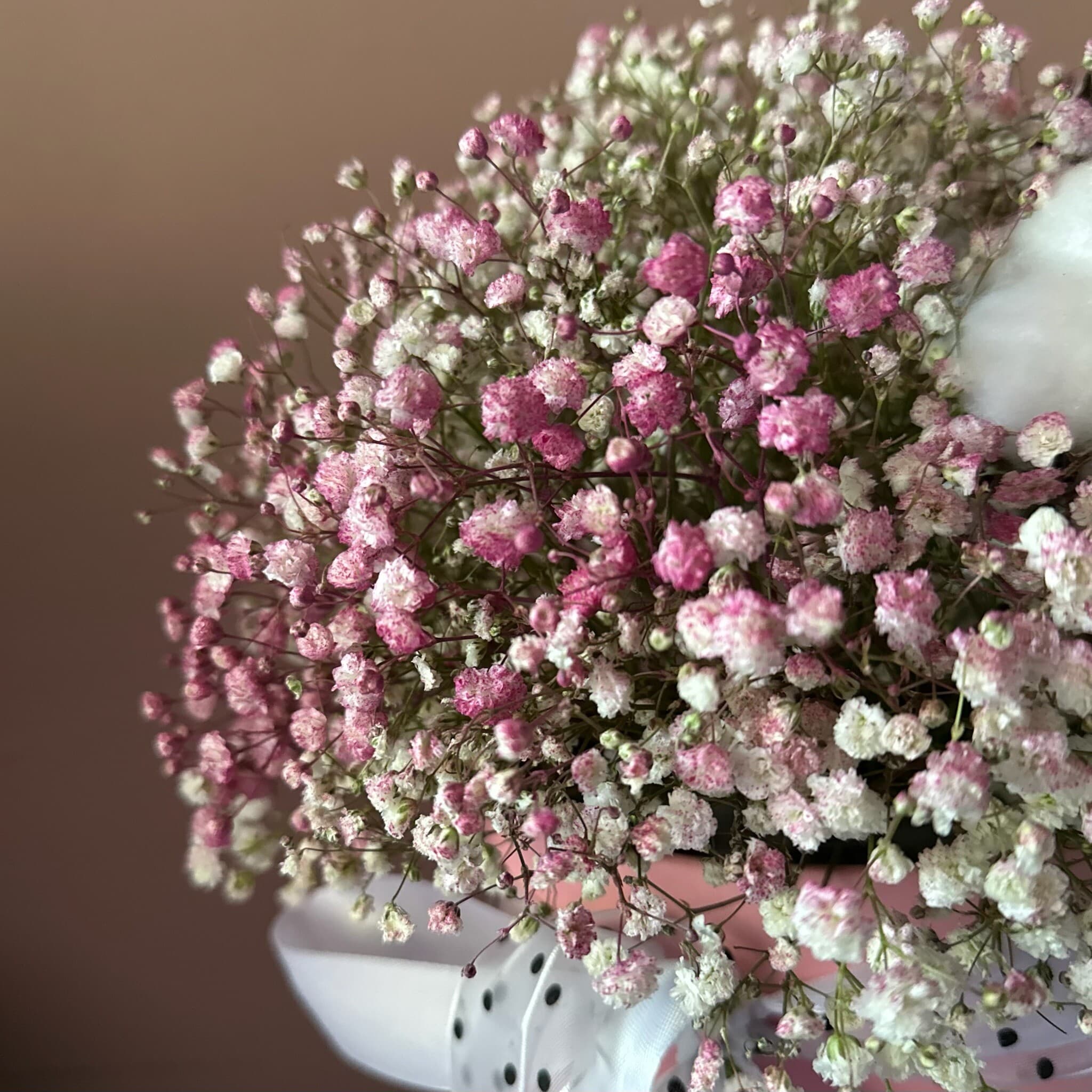 Коробка «Балерина» ДЫБЕНКО, изображение 2