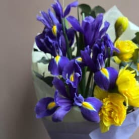 Миниатюра 2