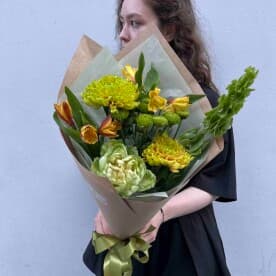 Гренландия SENO, изображение 1