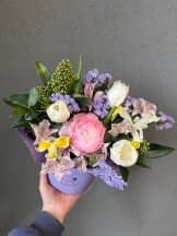 Миниатюра 1