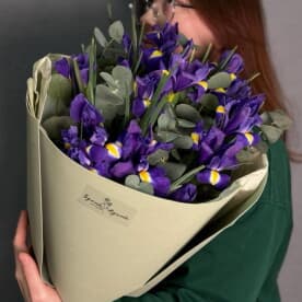 Миниатюра 2