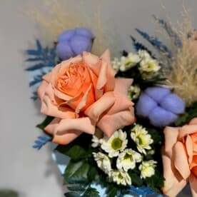 Миниатюра 3