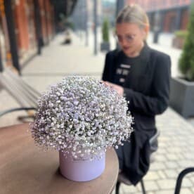 Миниатюра 3