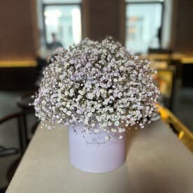 Миниатюра 6