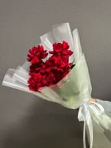 Миниатюра 4