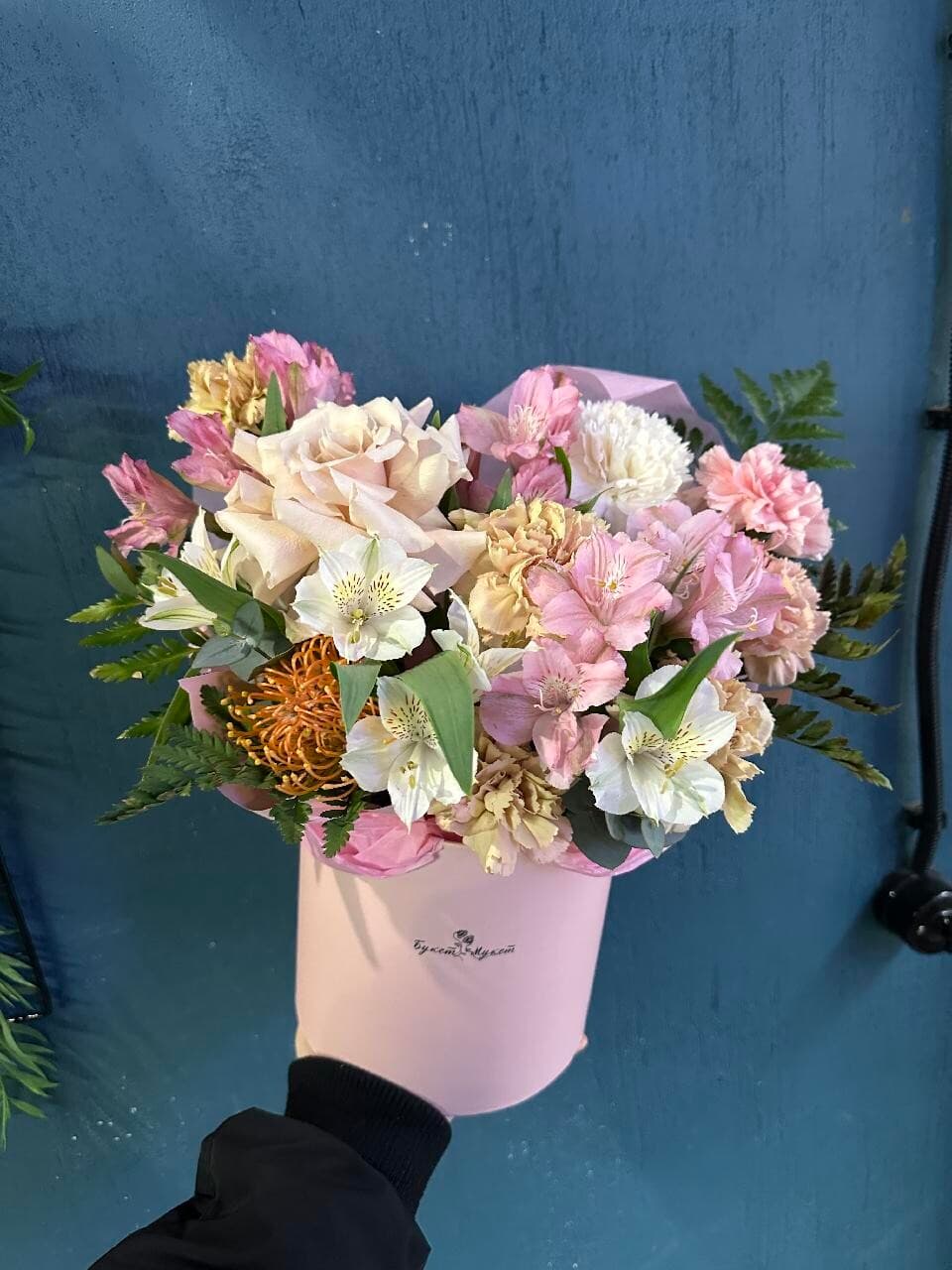 Детектив нутан  SENO