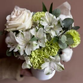 Миниатюра 5