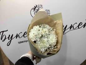 Миниатюра 1