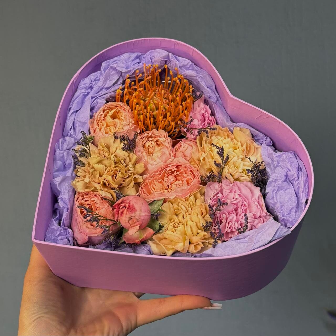 Сердце 204 SENO