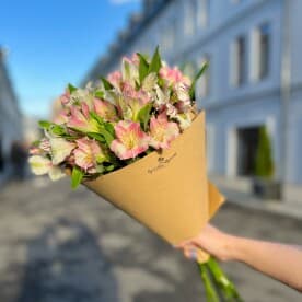 Миниатюра 4