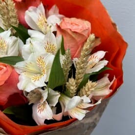 Миниатюра 6