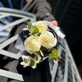 Миниатюра 5